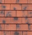 Redland Rosemary Clay Plain Tile - Classic - County Blend