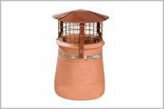 Chimney bird protector